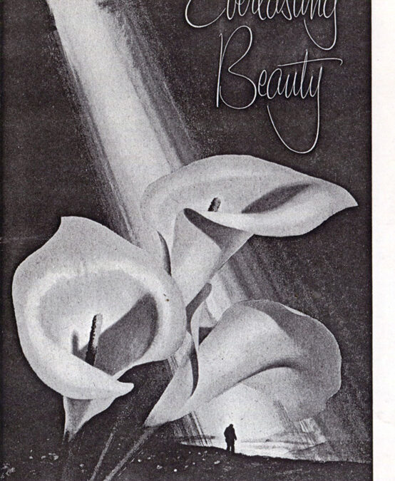 Danceteria flyer: First Anniversary, February 2, 1983